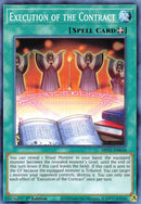 Execution of the Contract [MP21-EN036] Common