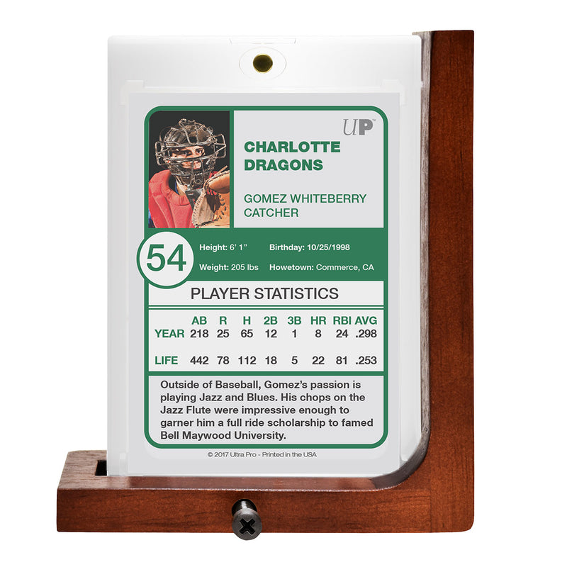 Ultra PRO: Executive Card Holder
