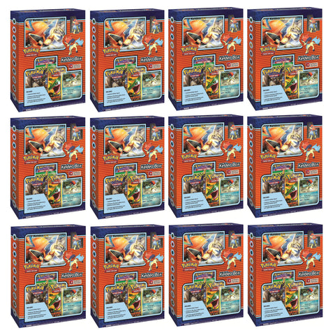Black & White - Keldeo Box Display