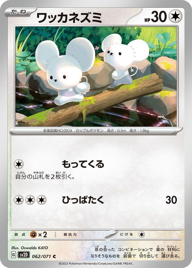 Image for Tandemaus (062/071) (SV2D) - Pokemon Japan