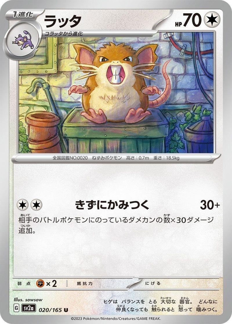 Image for Raticate (020/165) (SV2a) - Pokemon Japan