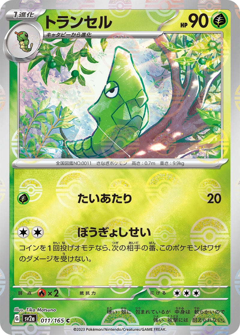 Image for Metapod (Poke Ball Pattern) (011/165) (SV2a) - Pokemon Japan