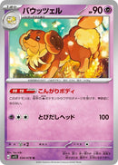 Image for Dachsbun (034/078) (SV1S) - Pokemon Japan