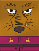 Image for Squaroes Teenage Mutant Ninja Turtles - Splinter