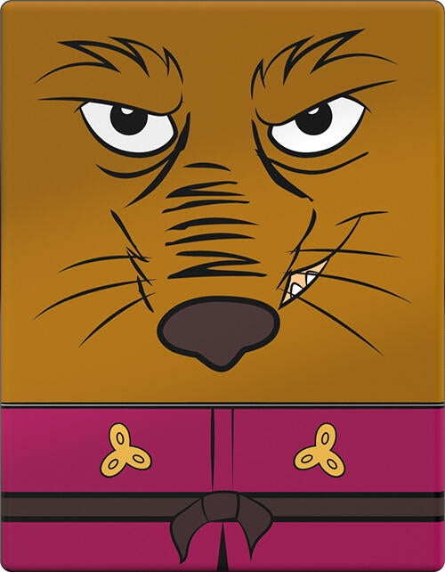 Image for Squaroes Teenage Mutant Ninja Turtles - Splinter