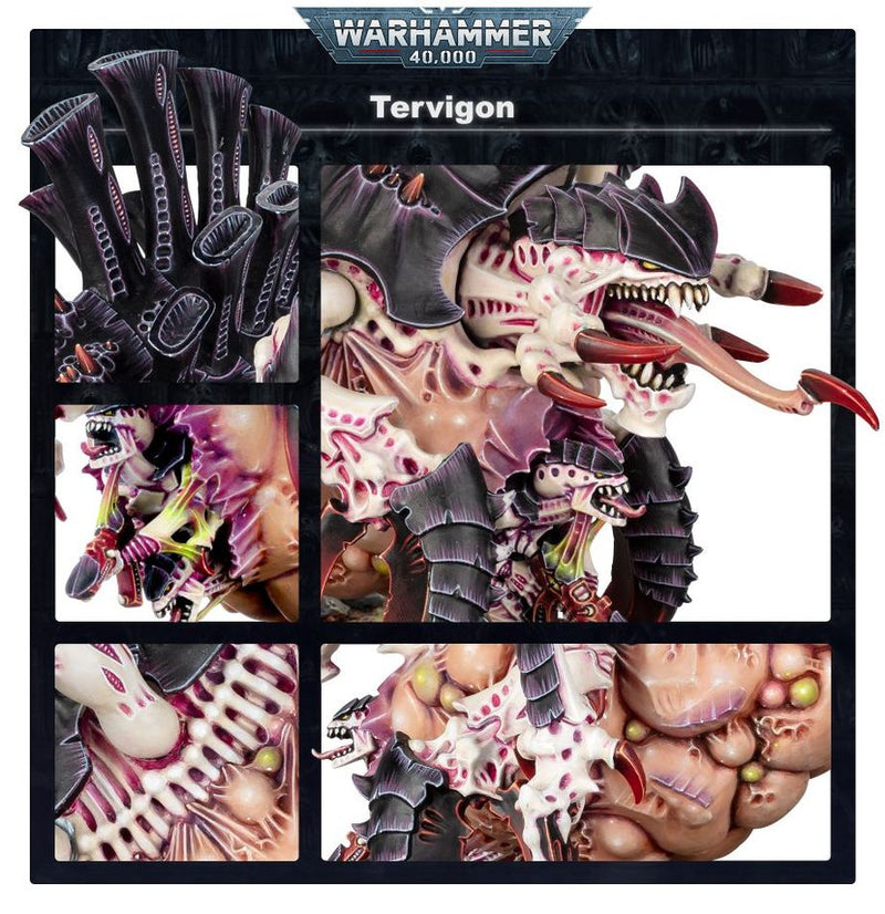 Tervigon