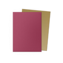 Dragon Shield: Standard 100ct Special Edition - Red Gold