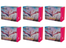 The Lost Caverns of Ixalan - Bundle Case