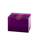 Dragon Shield: Strongbox - Clear Purple